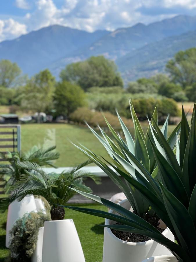 Art B&B Design Costa Volpino Exterior photo
